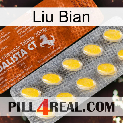Liu Bian 42